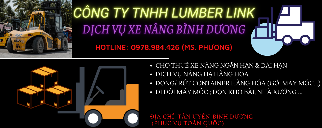 dich-vu-xe-nang-cho-thue-xe-nang-tai-binh-chuan-binh-duong