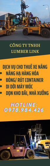cho-thue-xe-nang-binh-duong-dong-rut-container