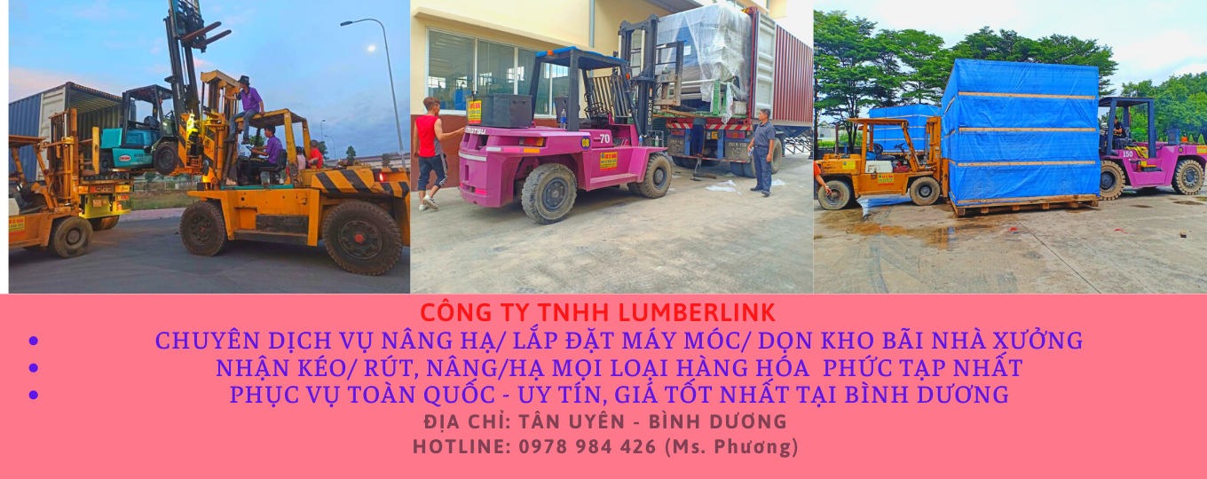 cho-thue-xe-nang-rut-hang-container-tai-binh-chuan-binh-duong