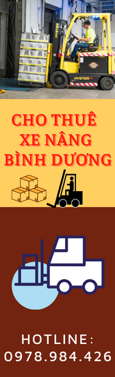 cho-thue-xe-nang-rut-hang-tu-container-tai-tan-phuoc-khanh-binh-duong