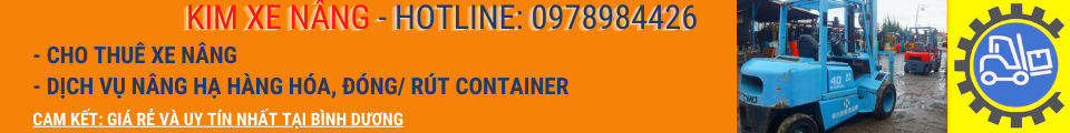 cho-thue-xe-nang-xuong-hang-container-o-an-phu-binh-duong