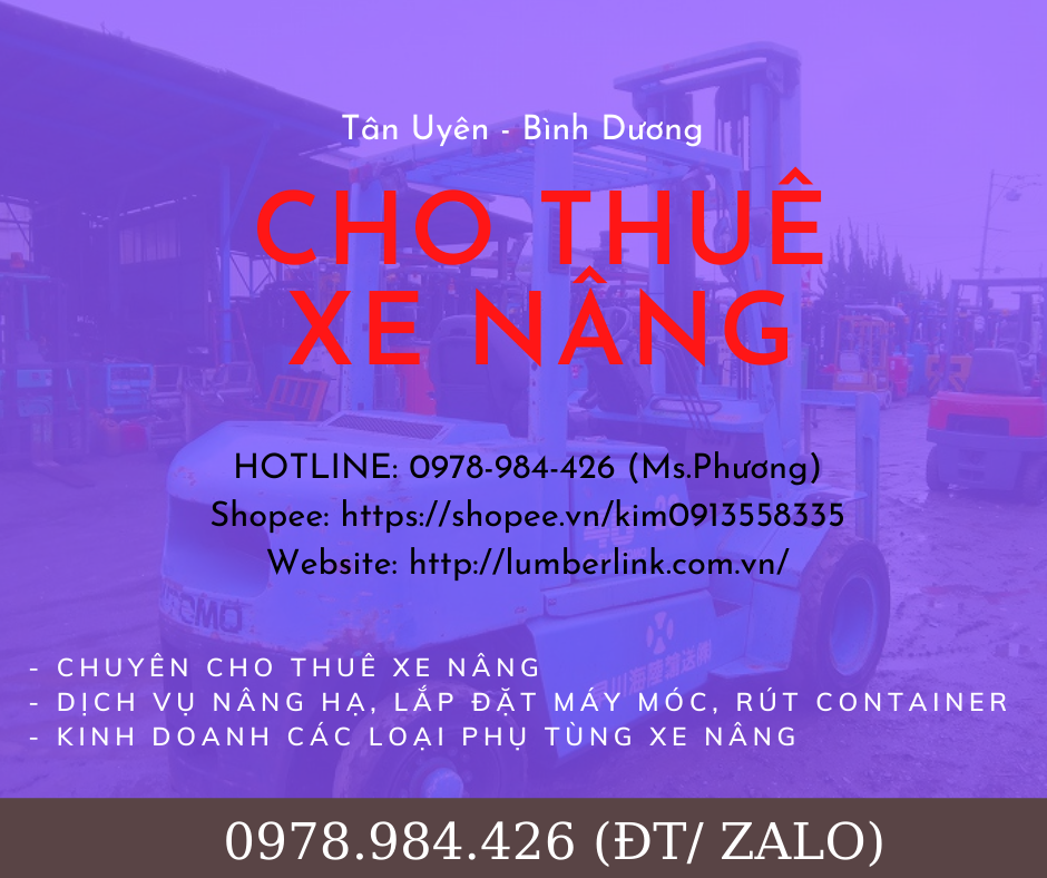 cho-thue-xe-nang-dong-rut-hang-container-tai-thu-dau-mot-binh-duong