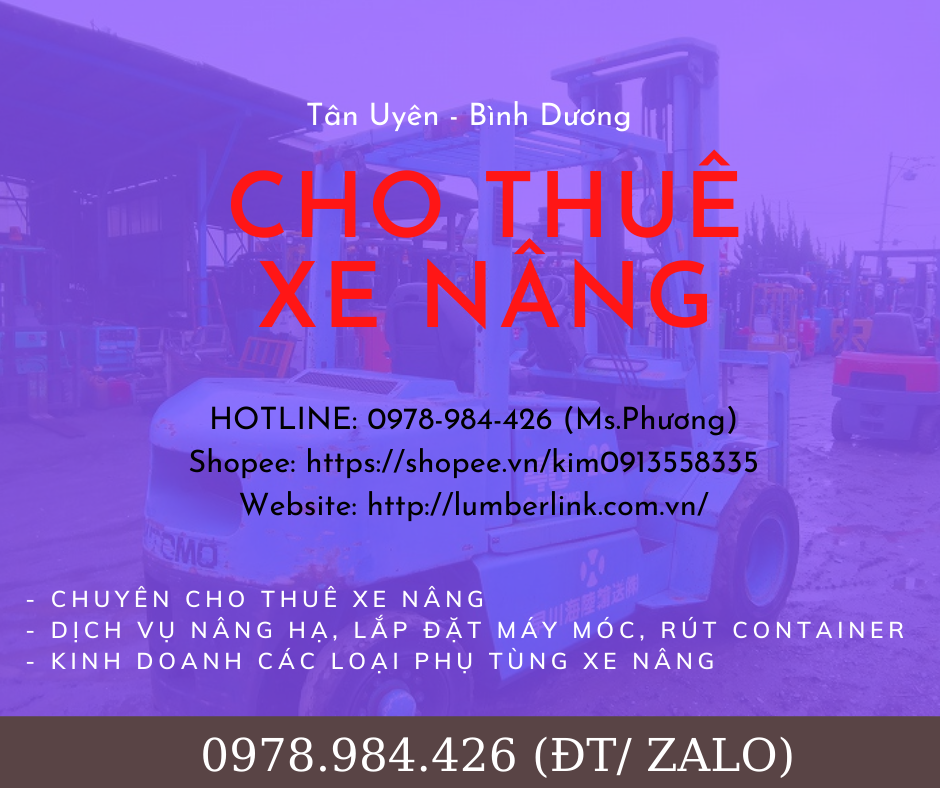 cho-thue-xe-nang-rut-hang-container-tai-tan-phuoc-khanh-binh-duong