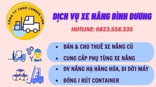 dịch-vu-xe-nang-rut-container-va-nang-ha-hang-hoa-tai-kcn-dai-dang-binh-duong