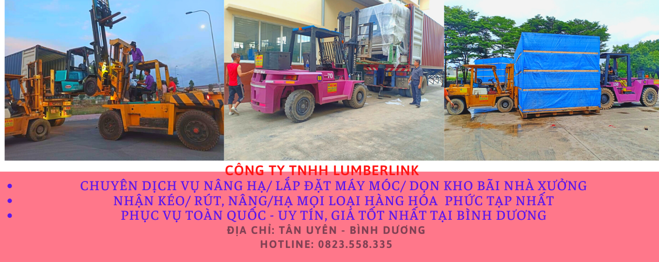 xe-nang-cau-di-doi-may-moc-thiet-bi-tai-thuan-an-binh-duong