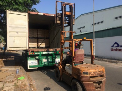 Dịch vụ đóng hàng container bằng xe nâng tại An Phú, Bình Dương