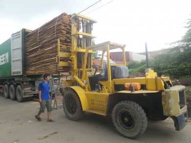 Rút container gỗ bằng xe nâng tại Thuận An, Bình Dương